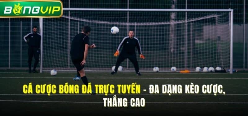 cá cược bóng đá trực tuyến