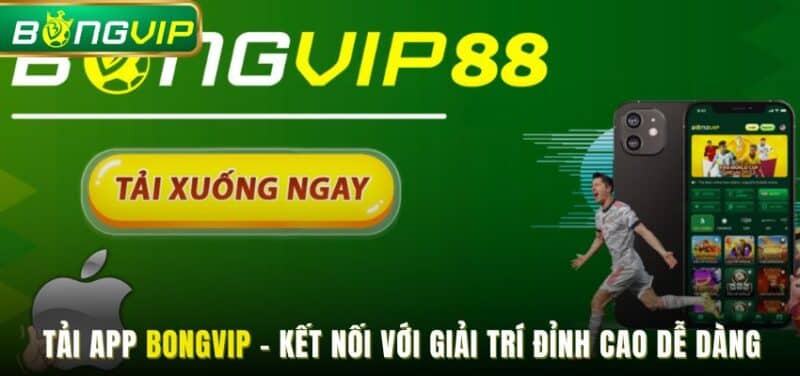 tải app Bongvip