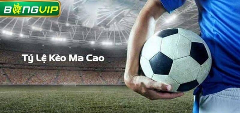 Các tỷ lệ kèo Macao phổ biến nhất